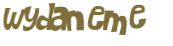 CAPTCHA 挑戰
