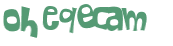 CAPTCHA 挑戰