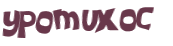 CAPTCHA 挑戰