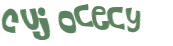 Captcha 챌린지