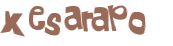 Captchafråga