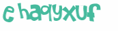 CAPTCHA 挑戰