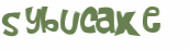 Wyzwanie captcha