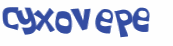 CAPTCHA 挑戰
