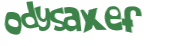 Captcha 챌린지