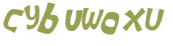 CAPTCHA 挑戰