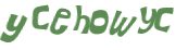 Captcha 챌린지