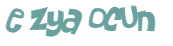 Wyzwanie captcha