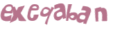 Captcha 챌린지