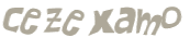 CAPTCHA 挑戰