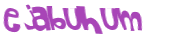 Desafio captcha