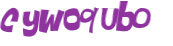 CAPTCHA 挑戰