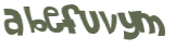 CAPTCHA 挑戰