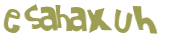 Captcha-test