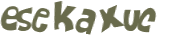 CAPTCHA 挑戰