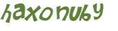 CAPTCHA 挑戰