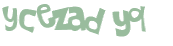 Prueba Captcha