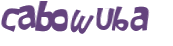 CAPTCHA 挑戰