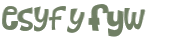 Wyzwanie captcha