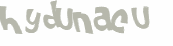 CAPTCHA 挑戰