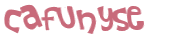CAPTCHA 挑戰