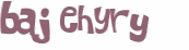Captcha 챌린지