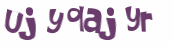 CAPTCHA 挑戰