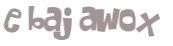 CAPTCHA 挑戰