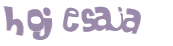 CAPTCHA 挑戰