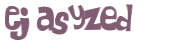 CAPTCHA 挑戰