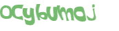 Wyzwanie captcha
