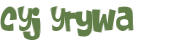 CAPTCHA 挑戰