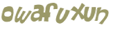 CAPTCHA 挑戰