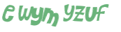 Wyzwanie captcha