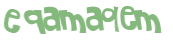 CAPTCHA 挑戰