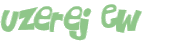 Wyzwanie captcha