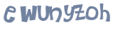 CAPTCHA 挑戰