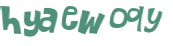 CAPTCHA 挑戰