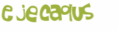 Captcha 챌린지