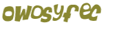 CAPTCHA 挑戰
