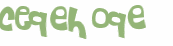 CAPTCHA 挑戰