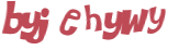 Wyzwanie captcha