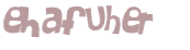 CAPTCHA 挑戰
