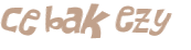CAPTCHA 挑戰