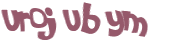 Captcha 챌린지