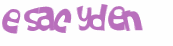 Desafio Captcha