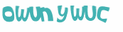 Desafio Captcha