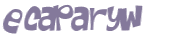Desafio captcha