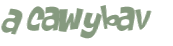 CAPTCHA 挑戰