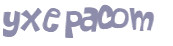 Captcha 챌린지
